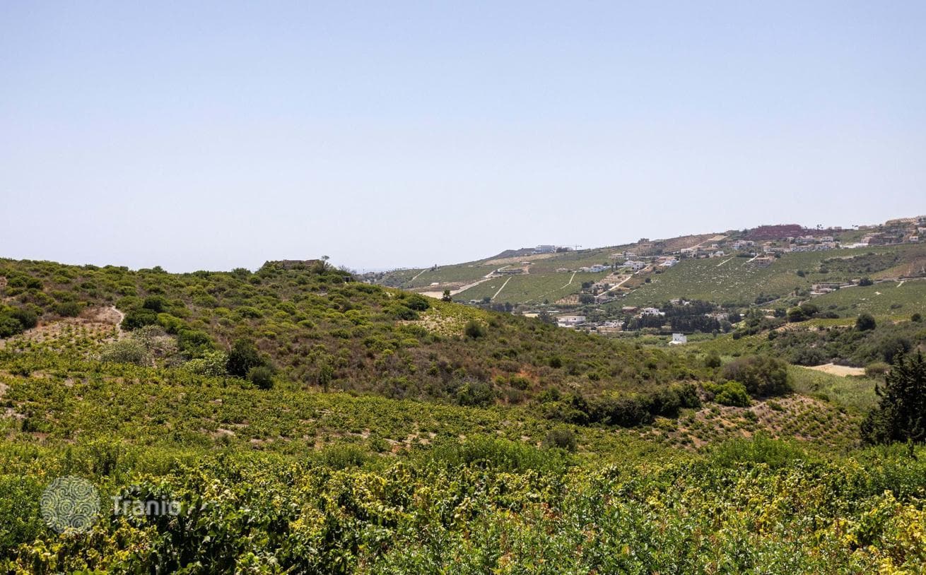 House with Land Plot in Casares, Spain, photo 4
