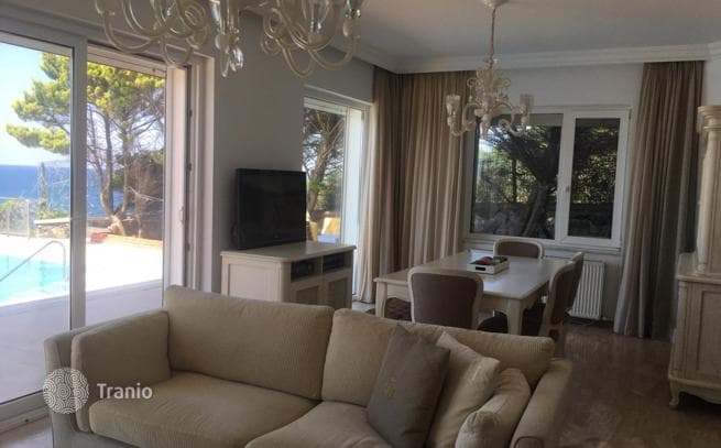 2-Story Villa with Private Pool and Garden in Istanbul, photo 5