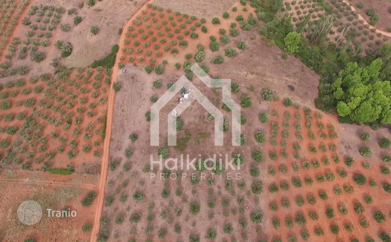 Land Plot in Nikiti, Greece, photo 3