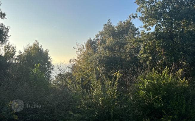 Land Plot 200 m from the Sea in Pecurice, Bar, photo 5