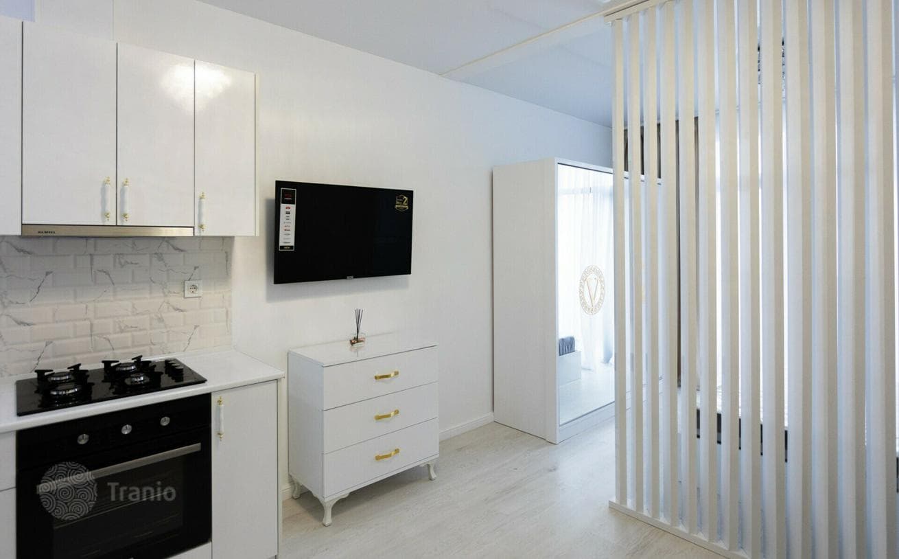 Studio with Sea, Mountain and City Views in Batumi, photo 4