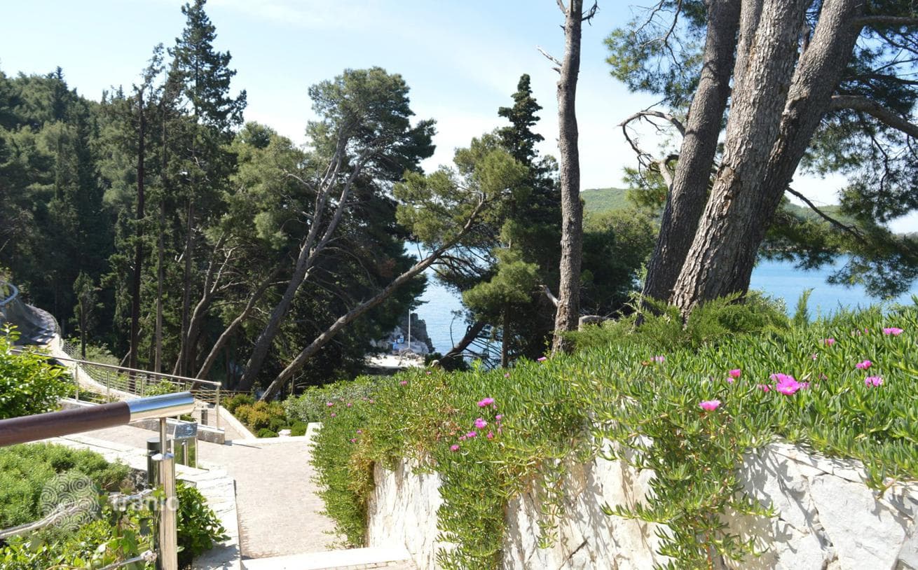 2-Bedroom Apartment with Adriatic Sea View in Becici, Budva, photo 3