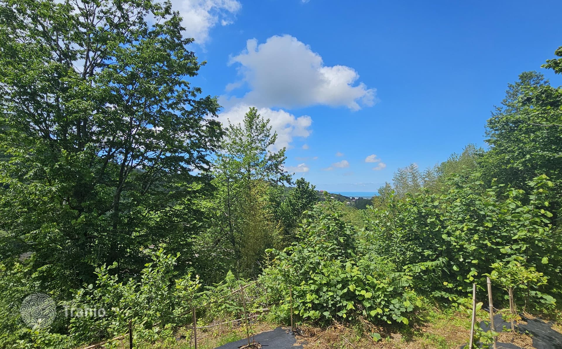 Land Plot with Sea and City Views in Maho, Batumi