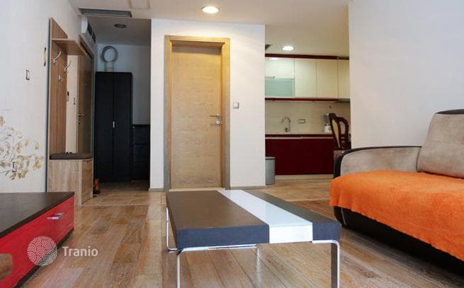 1-Bedroom Furnished Apartment in Dobrota, Kotor, photo 3