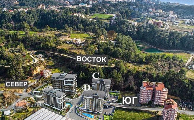 1-Bedroom Apartment with Pool View in Avsallar, Alanya, photo 2
