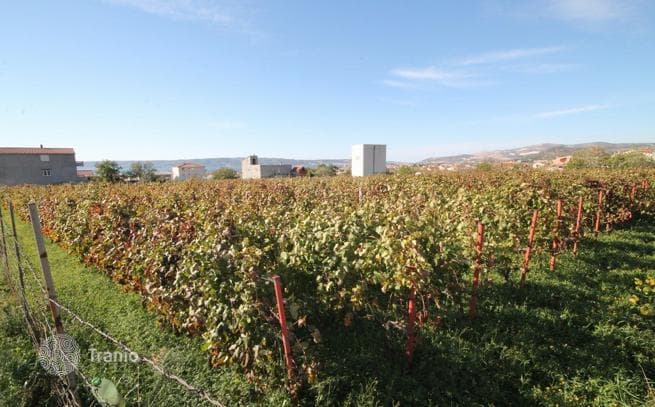 Land Plot with Vineyard and Sea View in Kastela, Split, photo 5