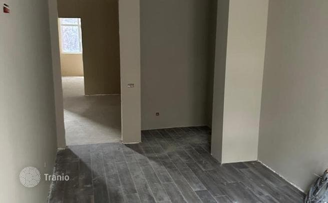 2-Bedroom Apartment in Tbilisi, photo 3