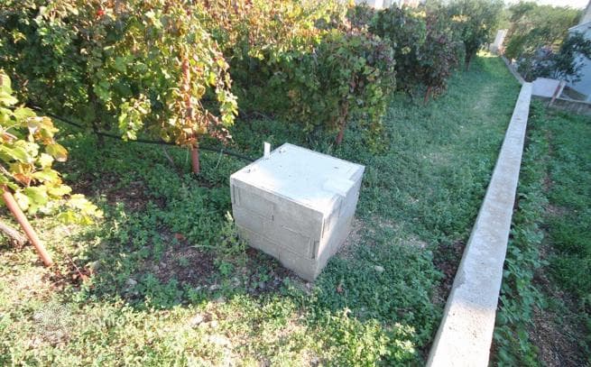 Land Plot with Vineyard and Sea View in Kastela, Split, photo 4