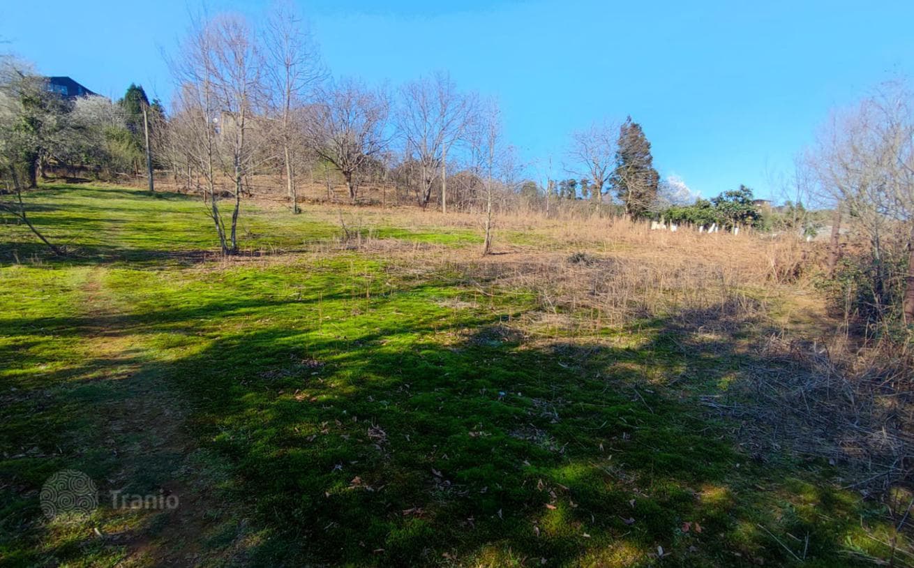 Non-Agricultural Land Plot with Mountain Views in Chakvi, Batumi, photo 3