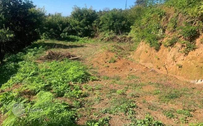 Land Plot with Sea View in Makhinjauri, Batumi, photo 3
