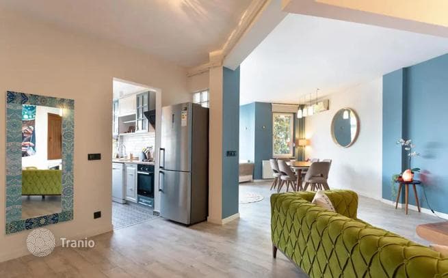 1-Bedroom Apartment in Beyoglu, Istanbul, photo 3