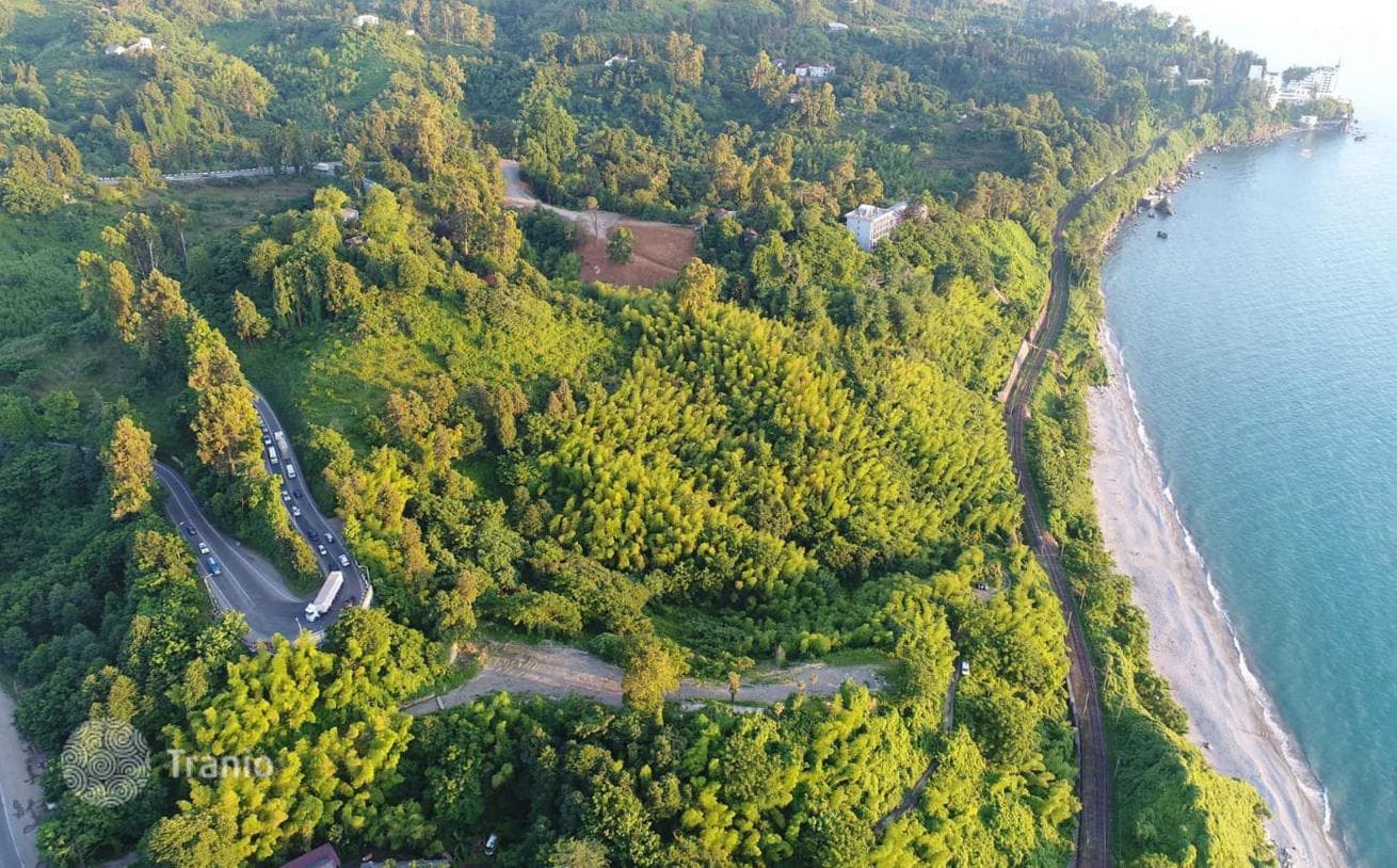 Large Beachfront Land Plot with Project in Tskhisudziri, Adjara, photo 3