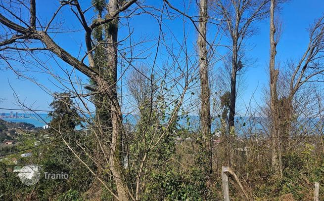 House with Sea Views and Large Land Plot in Makhinjauri, Batumi, photo 5