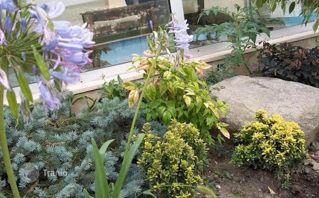 5-Bedroom Apartment in Beykoz, Istanbul, photo 4