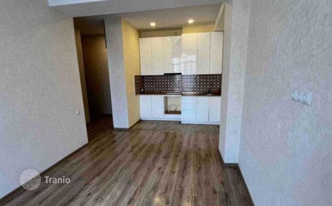 1-Bedroom Apartment in Didi Digomi, Tbilisi, photo 4