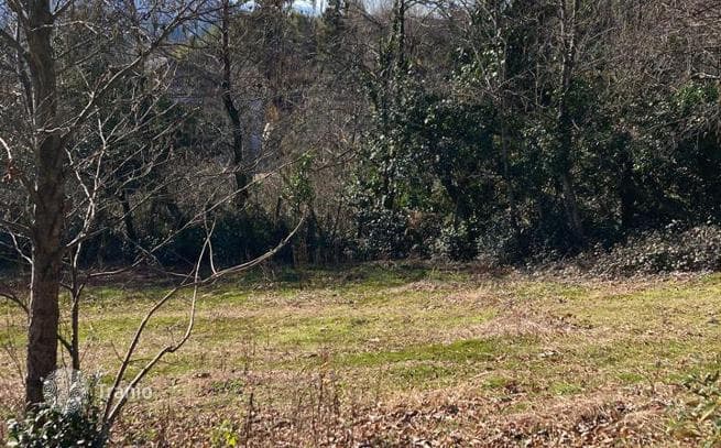 Non-Agricultural Land Plot with Mountain Views in Chakvi, Batumi, photo 5
